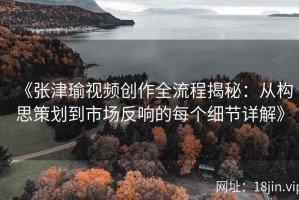 《张津瑜视频创作全流程揭秘：从构思策划到市场反响的每个细节详解》