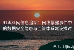 91黑料网信息追踪：网络暴露事件中的数据安全隐患与监管体系建设探讨