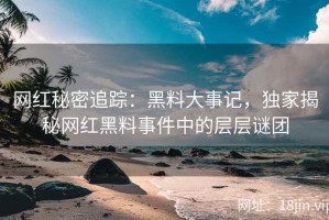 网红秘密追踪：黑料大事记，独家揭秘网红黑料事件中的层层谜团