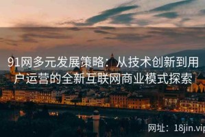 91网多元发展策略：从技术创新到用户运营的全新互联网商业模式探索