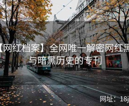 【网红档案】全网唯一解密网红黑料与暗黑历史的专刊