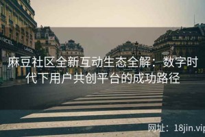 麻豆社区全新互动生态全解：数字时代下用户共创平台的成功路径