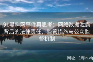 91黑料网事件再思考：网络数据泄露背后的法律责任、监管措施与公众监督机制