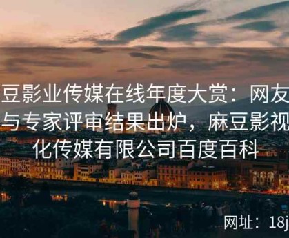 麻豆影业传媒在线年度大赏：网友票选与专家评审结果出炉，麻豆影视文化传媒有限公司百度百科