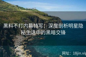 黑料不打内幕特写：深度剖析明星隐秘生活中的黑暗交锋