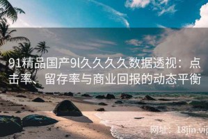 91精品国产9l久久久久数据透视：点击率、留存率与商业回报的动态平衡
