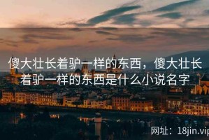 傻大壮长着驴一样的东西，傻大壮长着驴一样的东西是什么小说名字