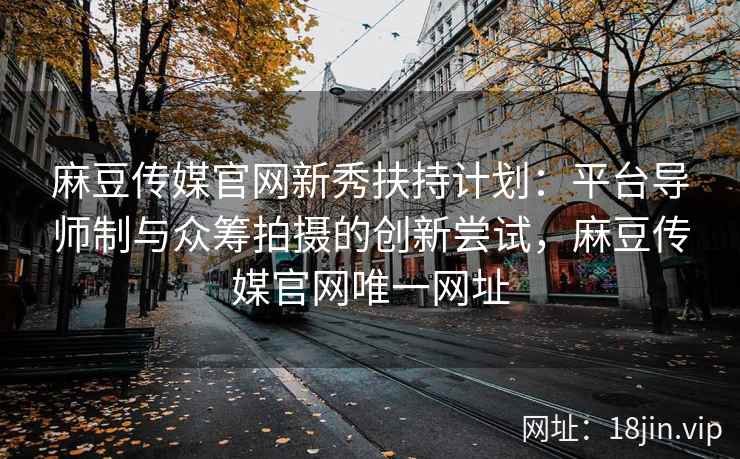 麻豆传媒官网新秀扶持计划：平台导师制与众筹拍摄的创新尝试，麻豆传媒官网唯一网址