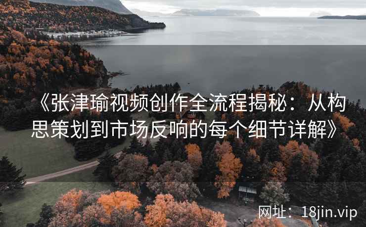 《张津瑜视频创作全流程揭秘：从构思策划到市场反响的每个细节详解》