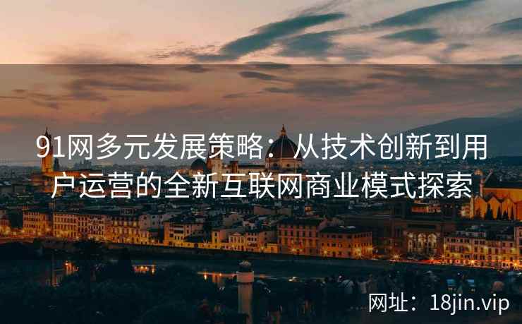 91网多元发展策略：从技术创新到用户运营的全新互联网商业模式探索