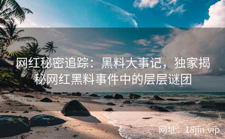 网红秘密追踪：黑料大事记，独家揭秘网红黑料事件中的层层谜团