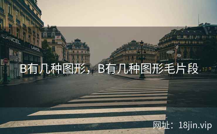 B有几种图形，B有几种图形毛片段