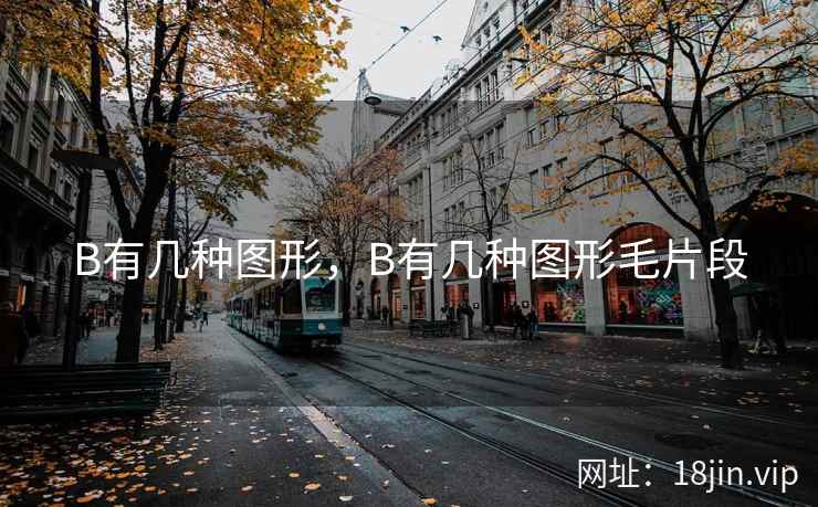 B有几种图形，B有几种图形毛片段