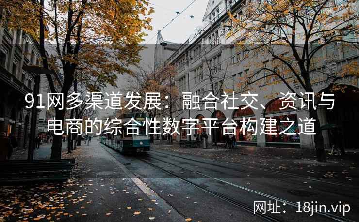 91网多渠道发展：融合社交、资讯与电商的综合性数字平台构建之道