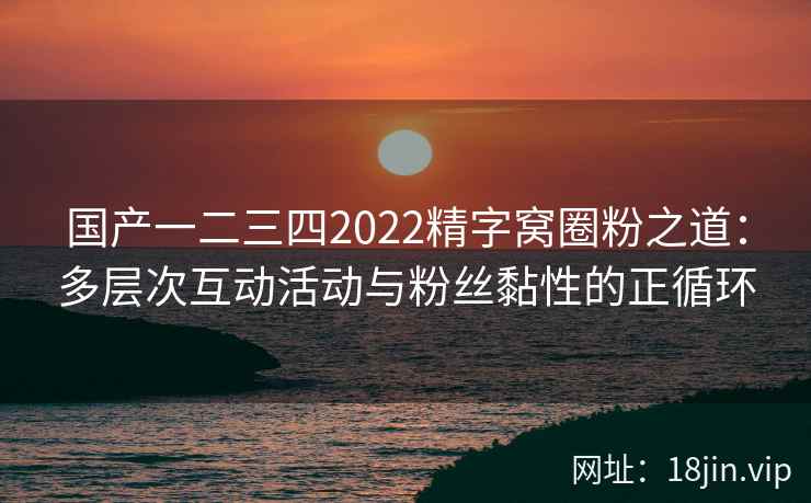 国产一二三四2022精字窝圈粉之道：多层次互动活动与粉丝黏性的正循环